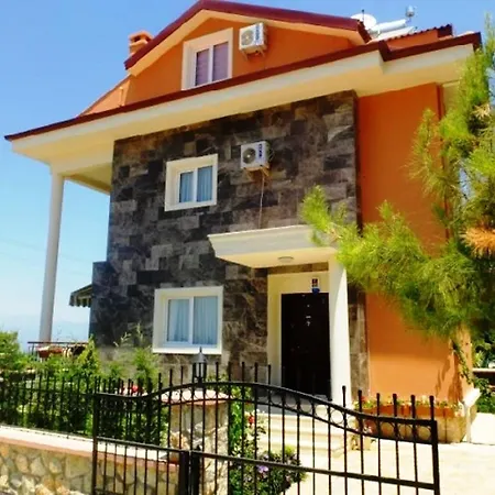 In On Sokak 33 *